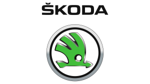 Что значит логотип skoda