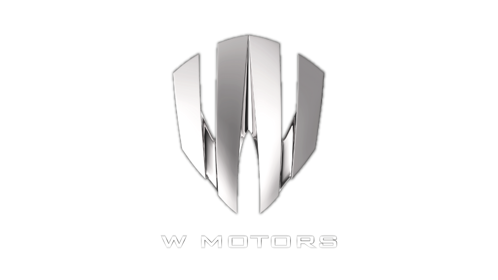 Логотип W Motors